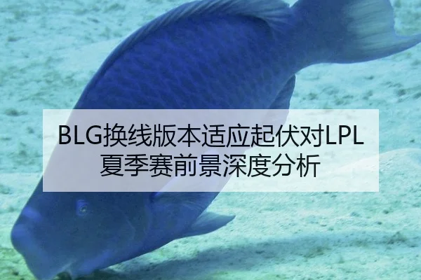 BLG换线版本适应起伏对LPL夏季赛前景深度分析